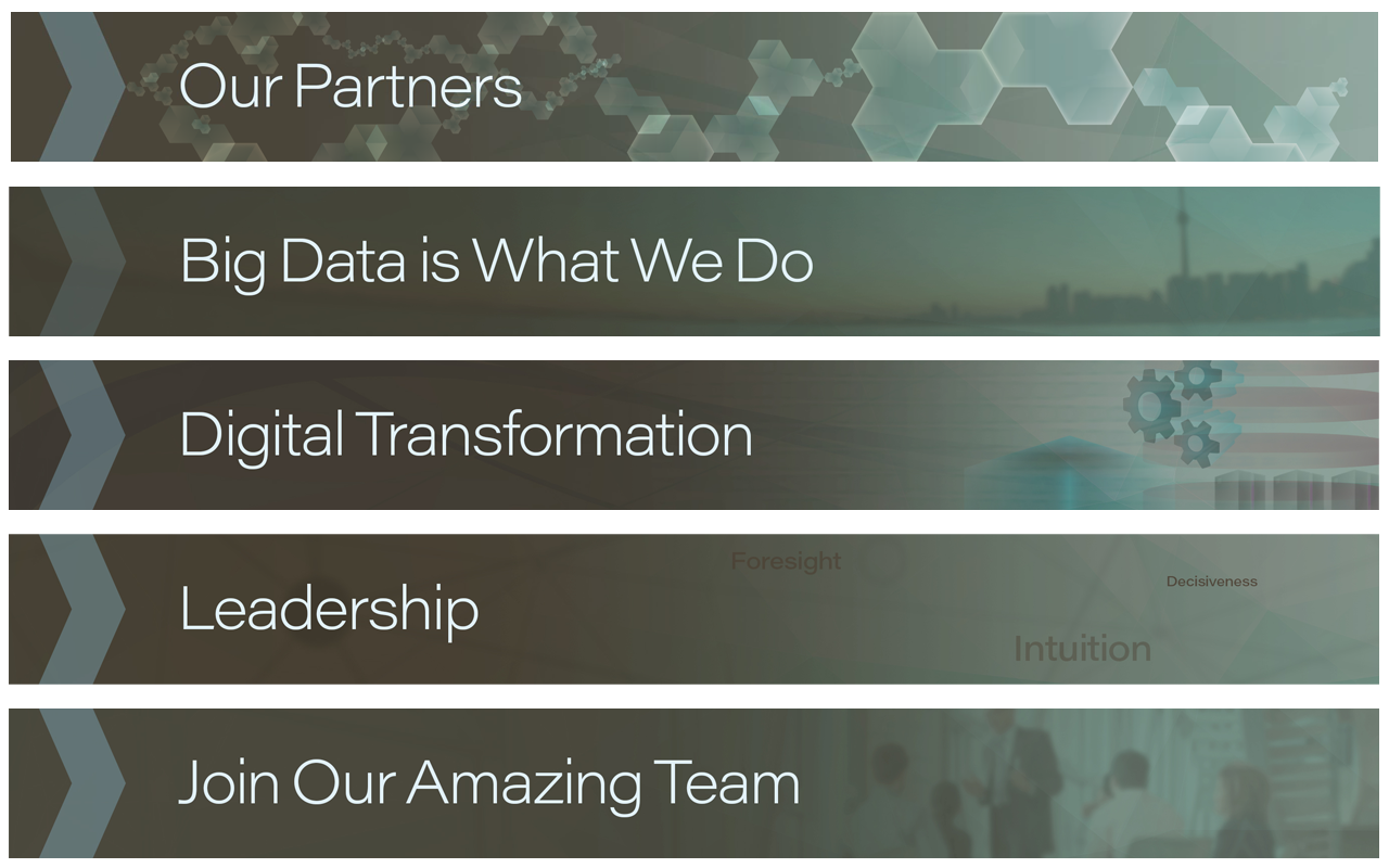 Web Design: Illustrator // Photoshop